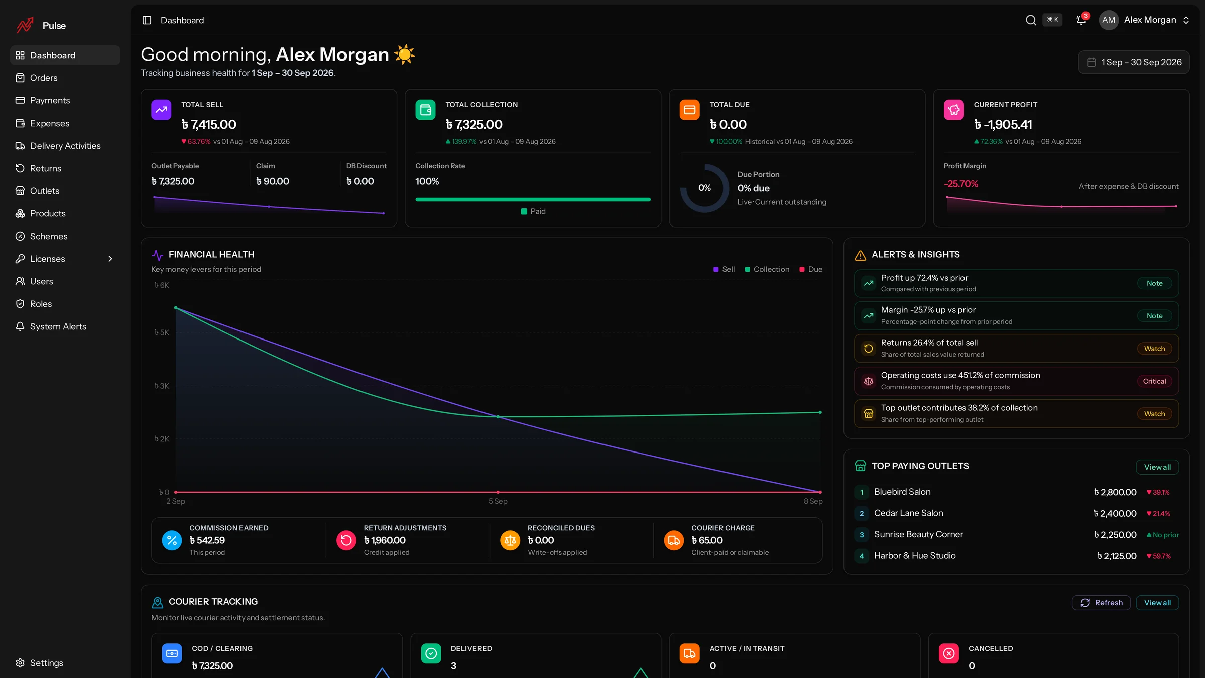 PULSE screenshot